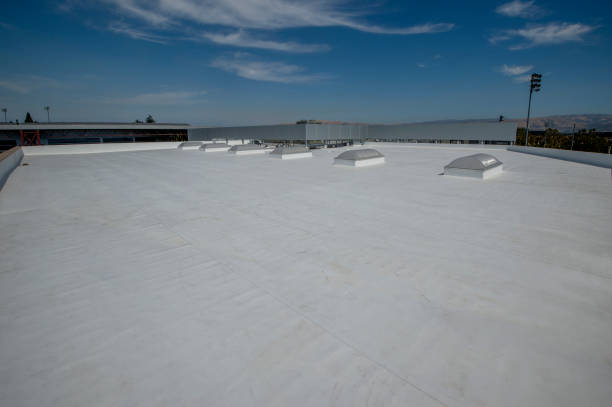 Best Roof Coating and Sealing  in Bellevue, PA