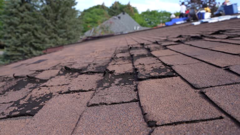 Best Roof Insulation Installation  in Bellevue, PA