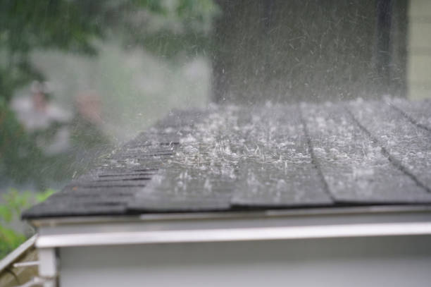 Best Metal Roofing Installation  in Bellevue, PA