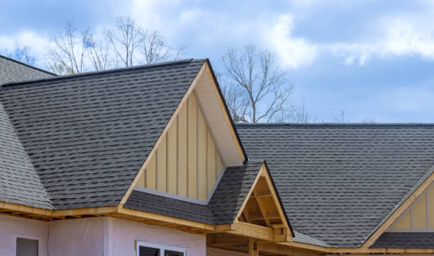 Best Roof Moss and Algae Removal  in Bellevue, PA