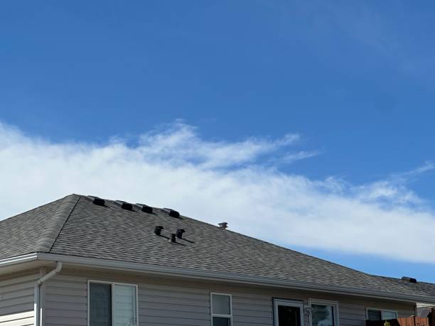 Emergency Roof Repair in Bellevue, PA