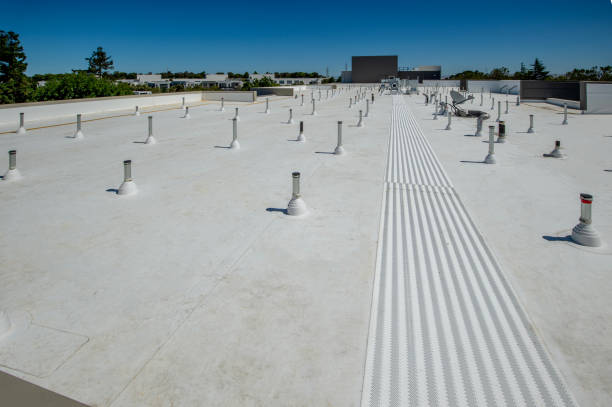 Best Asphalt Shingles Roofing  in Bellevue, PA